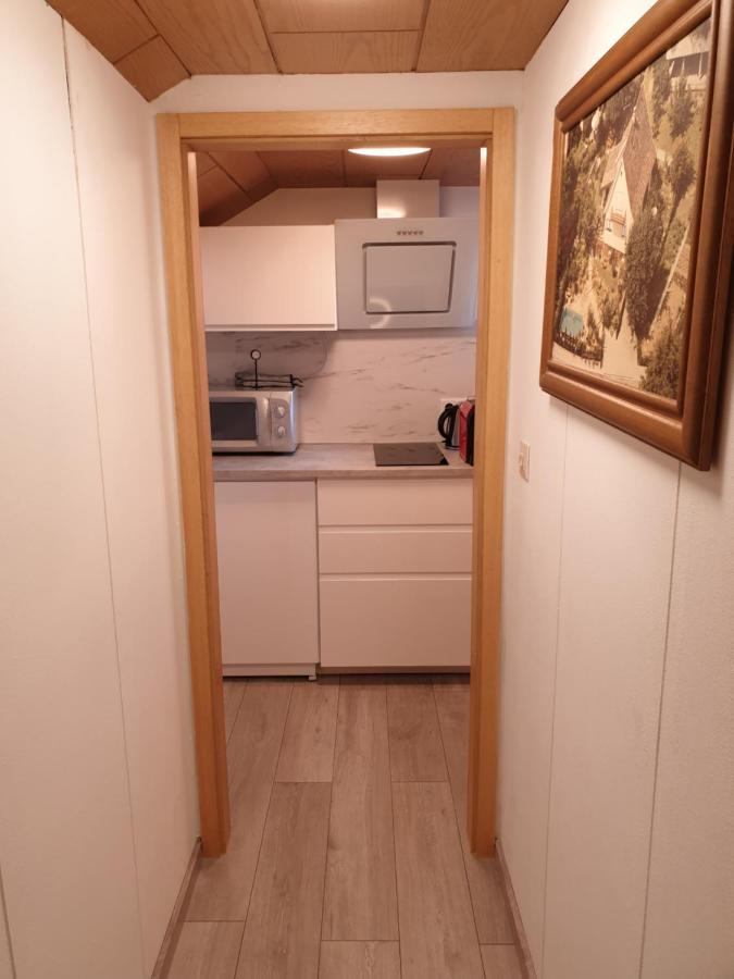 Sonnige Ruhige Dachzimmer Inkl Wifi Plus Kaffee Mit Wg Dusche Und Neuer Kueche Lörrach Exterior foto